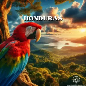 Café Gourmet Honduras