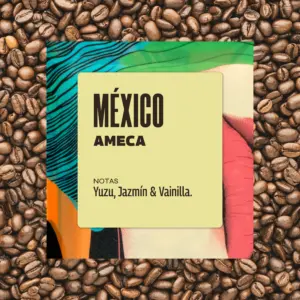 Café México Ameca