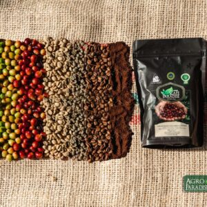 Café de Origen Único Colombia–  Jardín Colombia – Intenso